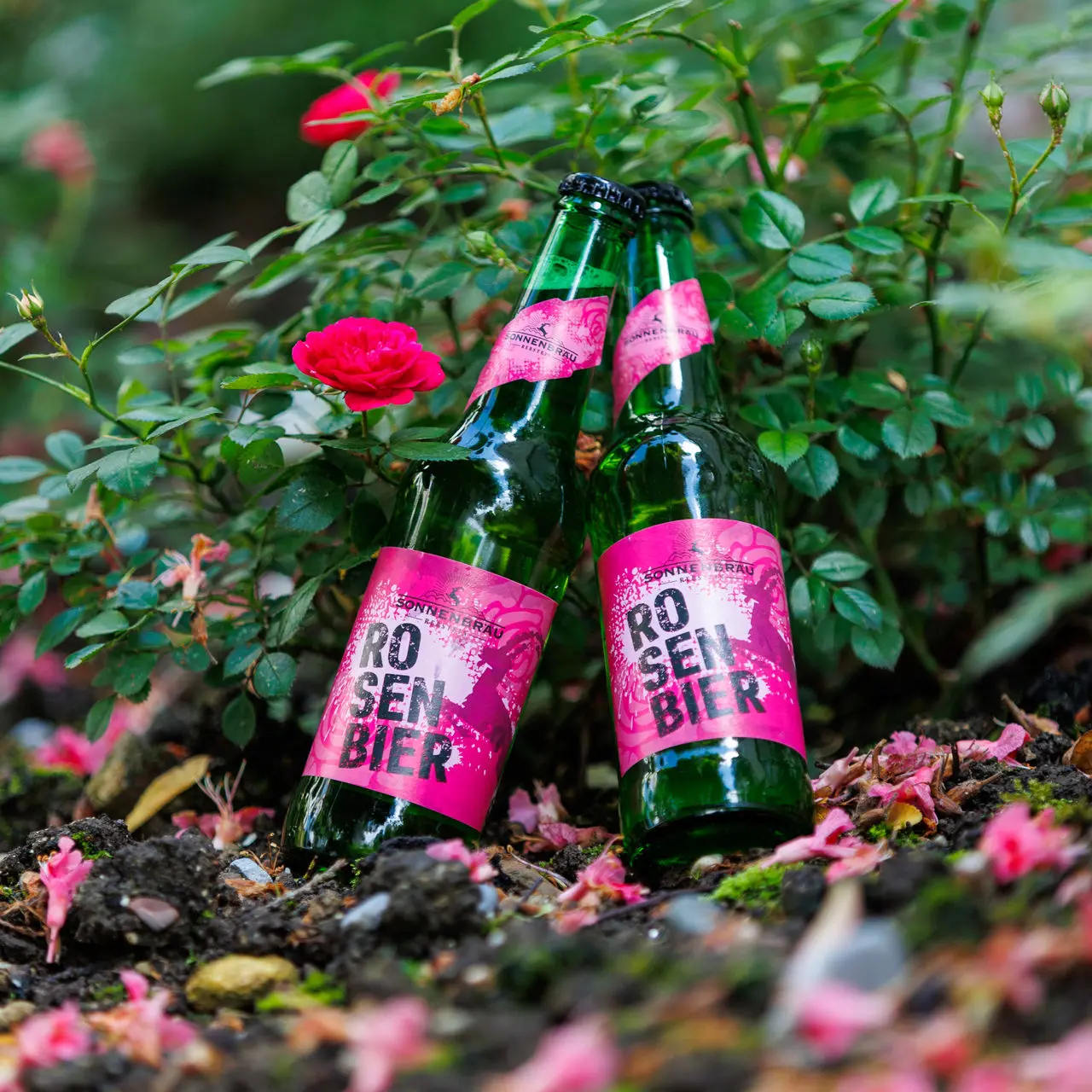 Bild Kulinarische Rosenspezialitäten